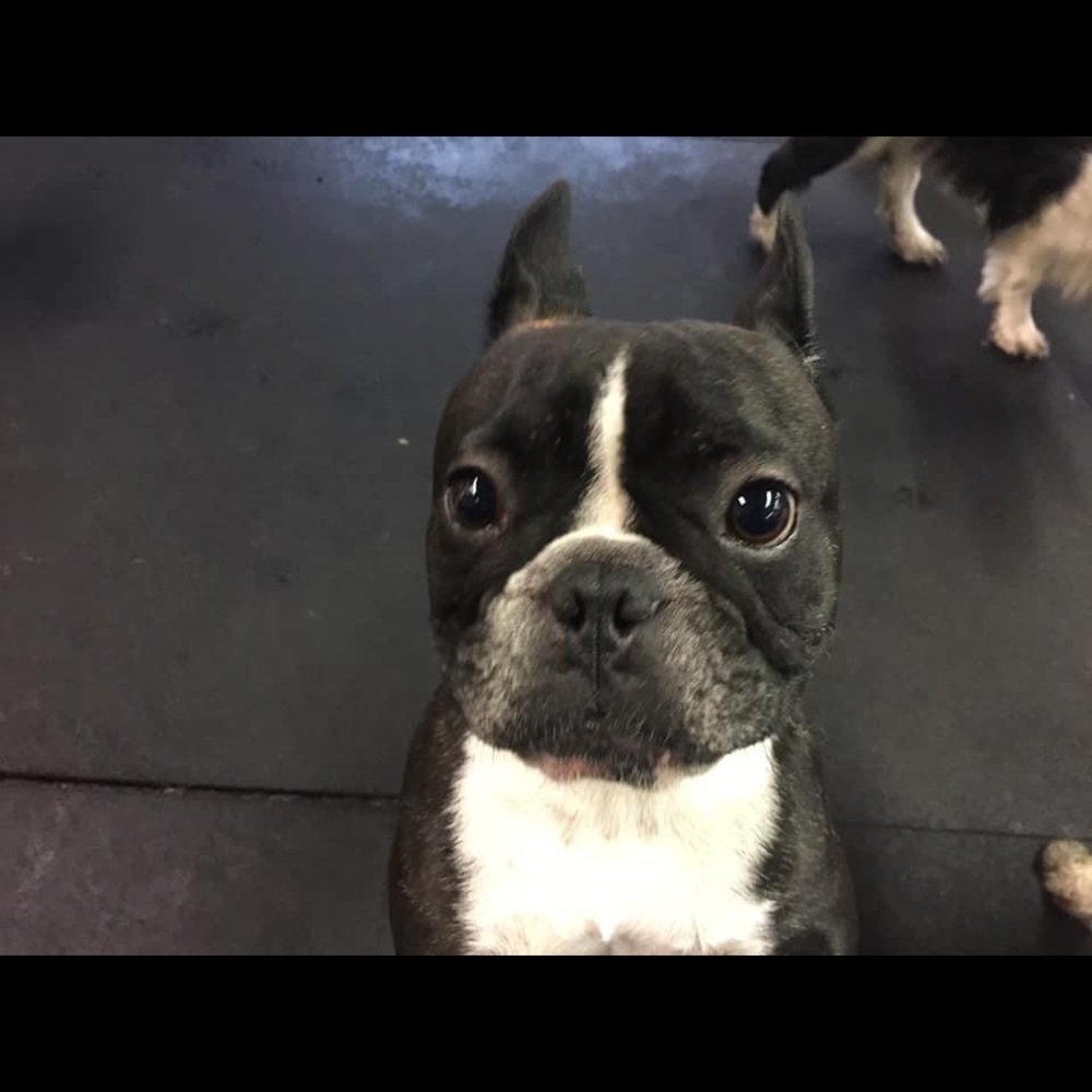 Meet your Posher, Gabby